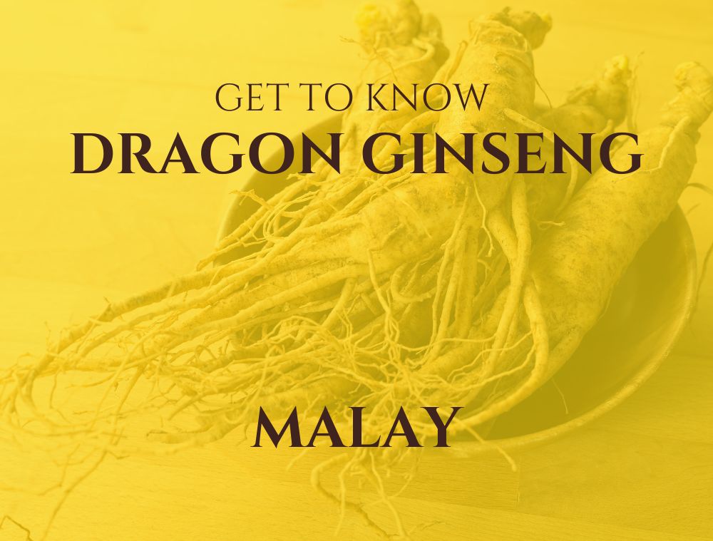 Dragon Ginseng Singapore